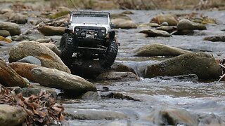 SCX10 Jeep Wrangler Takes On The Wild - Soundtrack Provided By Nature