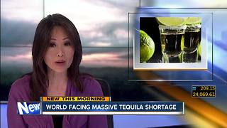 World facing massive tequila shortage