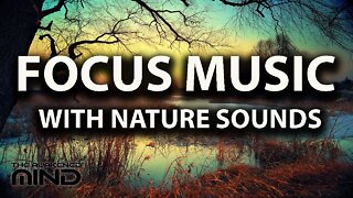 Study Sounds, Focus Music With Nature's Brook Sounds For Concentration