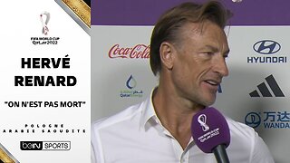 Cup of the World 2022 Mr. Hervé Renard N'oubliez pas, we are not dead!