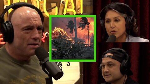 Tulsi Gabbard on the Maui Wildfires Response