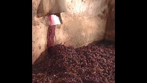 Traditional Wine making method now days