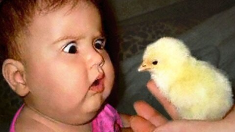 Try Not To Laugh: Funniest Moment Of Baby And Animals |Best Friend Is Sharing..