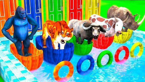 Jump Into The Bathtube And Open Door To Luck! Saber Tooth Tiger, Goriy, Buffalo, Rhinoceros, Cow