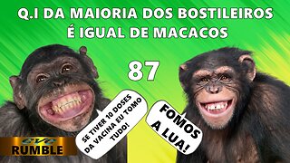 Realmente vivemos no Chimpanzil