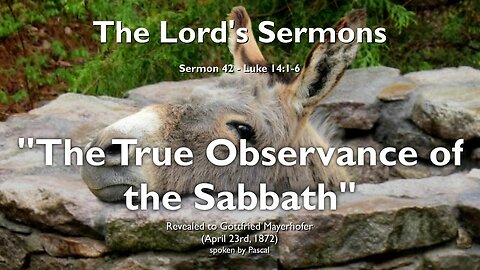 The true Sabbath Observance... Spiritualize your Deeds & Words ❤️ Jesus explains Luke 14:1-6