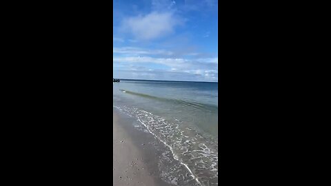 Livestream Clip - Lowdermilk Beach To Naples Pier Before Ian PT 2 #LiveStream