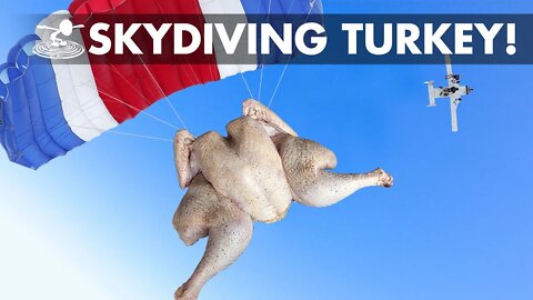 Dropping a Turkey from a Plane?! What happens? 🦃