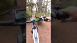 🤯 BUDGET E-BIKE vs DOWN HILL MTB TRAIL #short