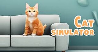 CAT SIMULATOR