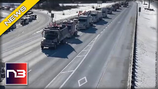 Video Of Canadian Trucker Protest Goes Viral After Hundreds Of Them Seen Doing One Thing
