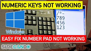 Numeric Keypad Does Not Work Windows 11, 10, 8, 7 Easy Fix.