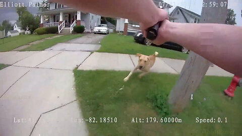 Lorain police release graphic bodycam video of officer shooting resident’s dog to death