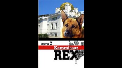 Rex, chien flic - Série 1994 - Saison 07 Episode 02