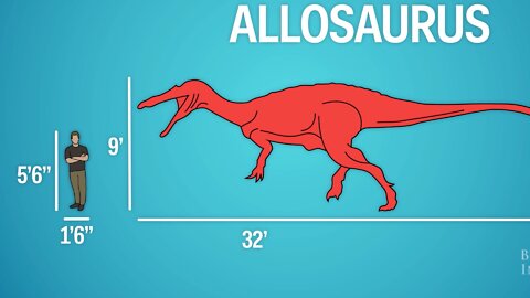 How Big Were Dinosaurs Compared To Humans? - Great Animation