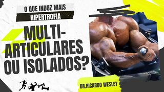 Exercício multiarticulares são melhores que isolados?Isolados para iniciantes? #hipertrofia #treino