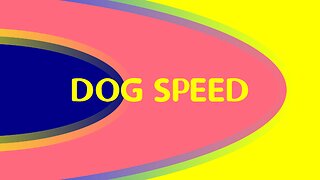 The Speed of Dogs