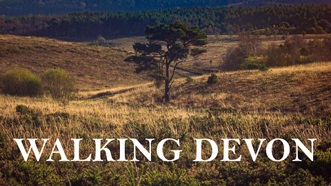 Walking Devon: Woodbury Castle and the Hawkerland Brakes by Hugh Stoker