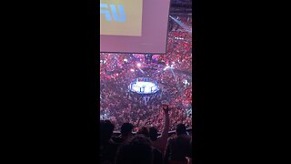 Trump at UFC287