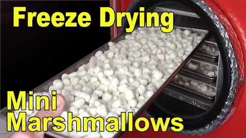Freeze Drying Mini Marshmallows