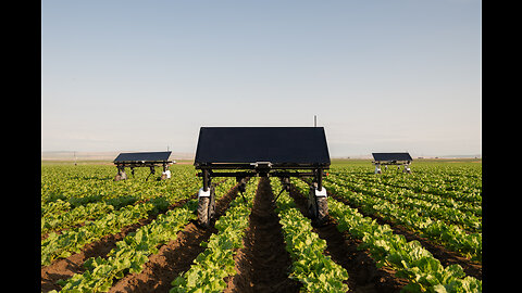 Agriculture robots can eliminate weeds and bugs without pesticides (TeslaLeaks.com)