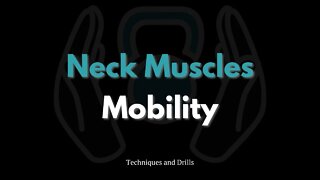 3 Neck Mobility Drills