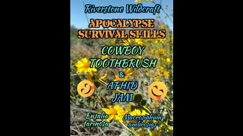 Riverstone Wilderness skills- Cowboy Toothbrush and Aphid Jam