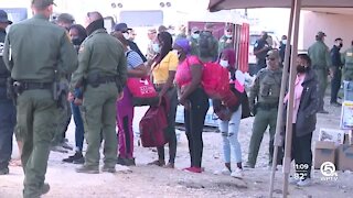 Haitians in South Florida angered over Texas treatment