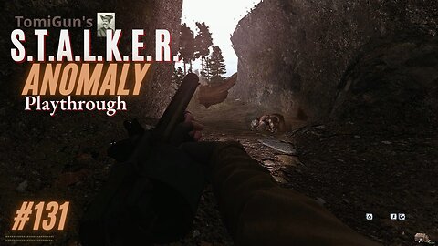 S.T.A.L.K.E.R. Anomaly #131: Noah's Snorks (are having their way with me. Yes. In the a$$.)
