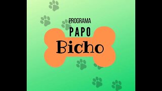 PAPO BICHO 01-12-2021