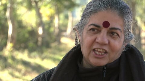 Vandana Shiva on the true danger of GM foods