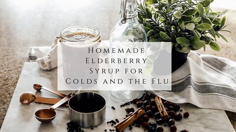 Homemade Elderberry Syrup for Colds and the Flu