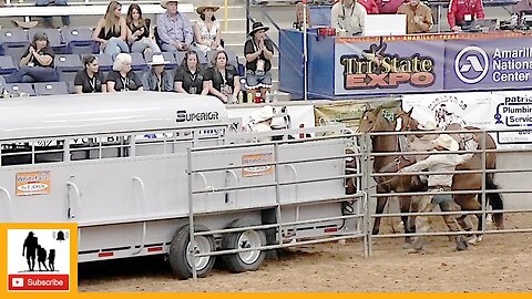 Trailer Loading - 2023 Coors Cowboy Club Ranch Rodeo | Thursday (Censored)