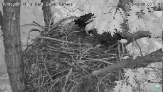 Hays EaglesThe Stick Wars Begin 8.28.20