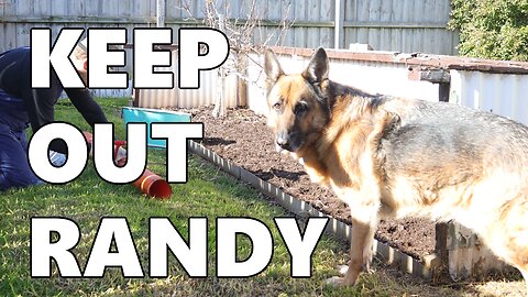 Keep Out Randy