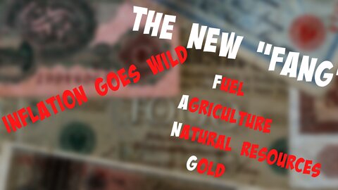 Inflation Goes Wild - The NEW FANG is now - Fuel, Agriculture, Natural Resources and Gold!