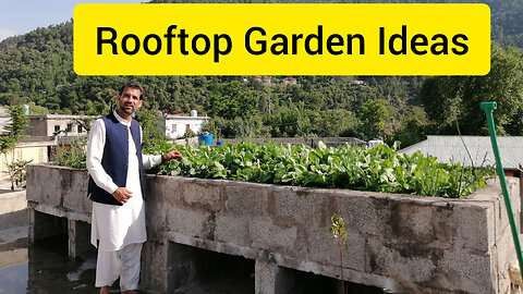 Rooftop garden idea
