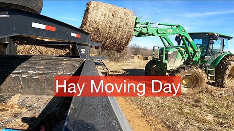 Hay moving day