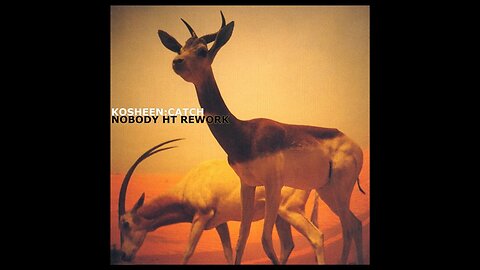 KOSHEEN - CATCH (GORDON KAYE VOCAL MIX)