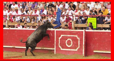 CORTES ( NAVARRA ) TARDE VACAS PLAZA ( MIERCOLES 27 SEPTIEMBRE 2023 ) GANAD.ADRIAN DOMINGUEZ