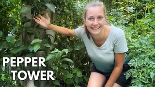 Growing Peppers in a Greenstalk Planter (Update on my Pepper Tower)