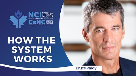 Law Professor Bruce Pardy Explains how the System Works