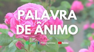 Busque pela sabedoria de Deus - Palavra de Ânimo Hoje