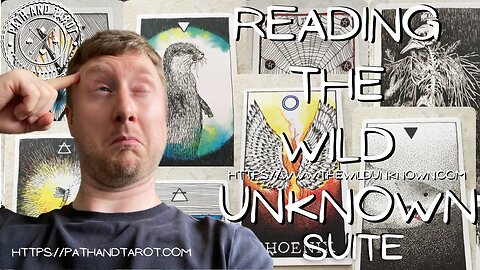 Divination With The Wild Unknown Suite