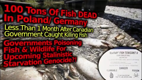MASS STARVATION PREP?! 100 TONS OF DEAD FISH IN POLAND & GERMAN, POISONED LIKE CANADA GOVT?!