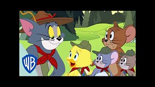 Tom & Jerry | Camping with Tom | @WB Kids