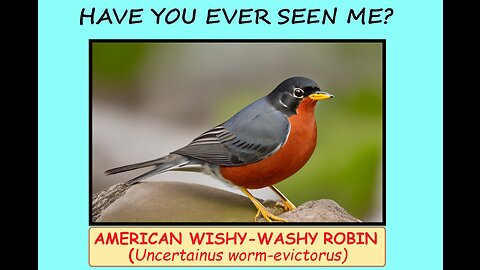 American Wishy-Washy Robin: BS Guide to Non-Existent Birds. Specimen #1. Artificial (AI) Pet Birds