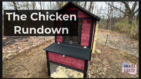 The Chicken Rundown (Update)