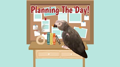 Einstein's Day: A Plan for Fun and Feathers!