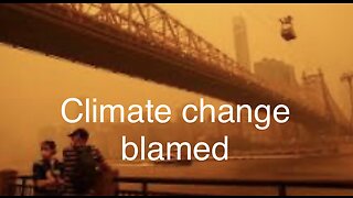 Senseless violence update and let’s blame climate change